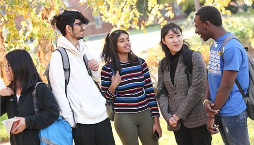 秋季，5名国际学生在户外聊天